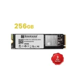 Simmtronics 256GB NVMe SSD