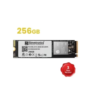 Simmtronics 256GB NVMe SSD