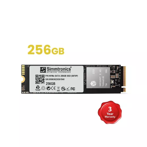 Simmtronics 256GB NVMe SSD